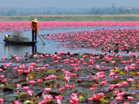 Landschaft Nong Bua Lam Phu bei Sonnenuntergang